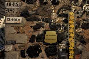 (诸神金标)探讨:诸神标可以随意转交给他人吗? (诸神金标)探讨:诸神标可以随意转交给他人吗?