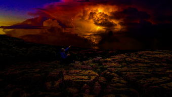 (与你一同踏入危险,挑战极限的丛林大冒险在线观看)与你一同踏入危险,挑战极限的丛林大冒险 (与你一同踏入危险,挑战极限的丛林大冒险在线观看)与你一同踏入危险,挑战极限的丛林大冒险