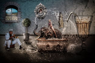 探秘冒险世界：《符石守护者》安卓版免内购全攻略，了解角色成长走向