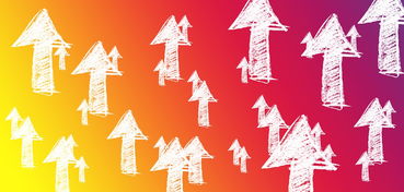 深度剖析《猫之宿约者》配音演员的配音生涯与技巧,揭秘他们为角色赋予生命的故事 深度剖析《猫之宿约者》配音演员的配音生涯与技巧,揭秘他们为角色赋予生命的故事