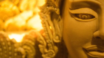 (小浣熊百将传神秘磁盘换什么)小浣熊百将传:神秘冒险之旅还能玩不 (小浣熊百将传神秘磁盘换什么)小浣熊百将传:神秘冒险之旅还能玩不