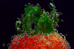 “有哪些适合用来净化空气的室内绿植,让家中空气清新健康?” “有哪些适合用来净化空气的室内绿植,让家中空气清新健康?”