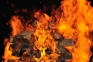 (西方世界的劫难601)西方世界的劫难6详细攻略图：如何应对危机，挑战和困难？