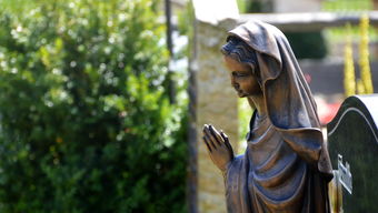 (我要当国王第一关怎么过)我要当国王,勇闯黑暗关卡,展示真正的王者风范! (我要当国王第一关怎么过)我要当国王,勇闯黑暗关卡,展示真正的王者风范!