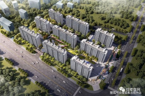 高智商大师无敌版-高智商大师手机版下载v.9.67 高智商大师无敌版-高智商大师手机版下载v.9.67