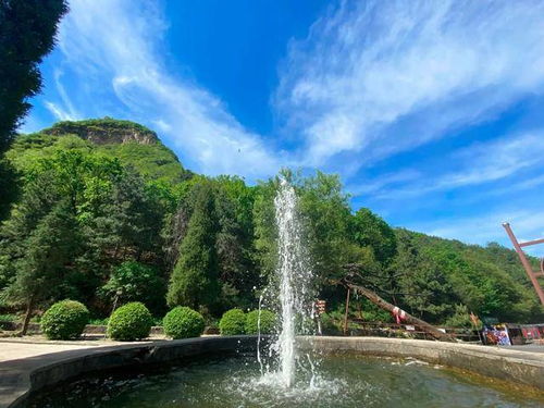 班主任模拟器免广告安卓版下载9.71.00.02-班主任模拟器免广告无限金币下载v.3.25