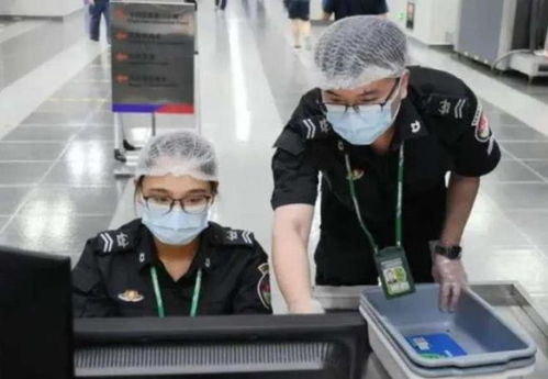 机场安检员中文版2下载-机场安检员中文版2024官方手机版下载v.2.84 机场安检员中文版2下载-机场安检员中文版2024官方手机版下载v.2.84