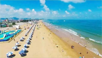 赶山赶海开饭店免广告钞票版下载-赶山赶海开饭店免广告中文内置作弊菜单下载v.3.44 赶山赶海开饭店免广告钞票版下载-赶山赶海开饭店免广告中文内置作弊菜单下载v.3.44