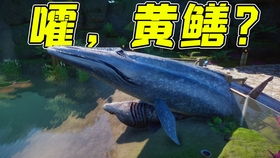模拟鲨鱼狩猎求生最新版煎饼店免广告下载-模拟鲨鱼狩猎求生下载内购版v.7.65 模拟鲨鱼狩猎求生最新版煎饼店免广告下载-模拟鲨鱼狩猎求生下载内购版v.7.65