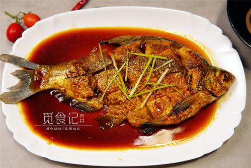 鱼吃鱼内置菜单版中文版无广告下载-鱼吃鱼内置菜单版下载最新版v.0.73 鱼吃鱼内置菜单版中文版无广告下载-鱼吃鱼内置菜单版下载最新版v.0.73