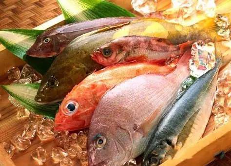 鱼吃鱼无敌秒杀科技无限金币免广告版下载-鱼吃鱼无敌秒杀科技汉化版下载v.4.48