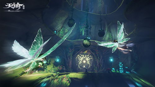 探索未知，冒险之心进化，开启新篇章，揭开未来的神秘面纱。