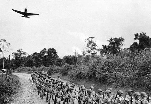 台湾住民热烈迎接远征军灵柩，公众悼念致敬反映台湾社会对英雄的深深尊崇