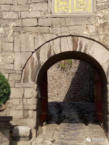 归龙潮官方网站入口：探寻华夏文明的源头之旅