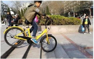 为了更好保护骑行者，北京小黄车将在冬季增配挡风手套，助力骑行者抵御寒冷