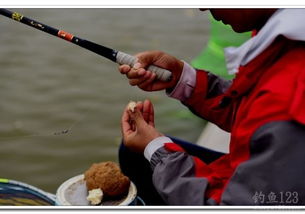 钓鱼竞技比赛技巧游戏：如何在比赛中脱颖而出？