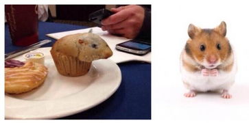 探秘仓鼠蛋糕工厂内置MOD：如何通过定制化的工作环境提高工作效率？