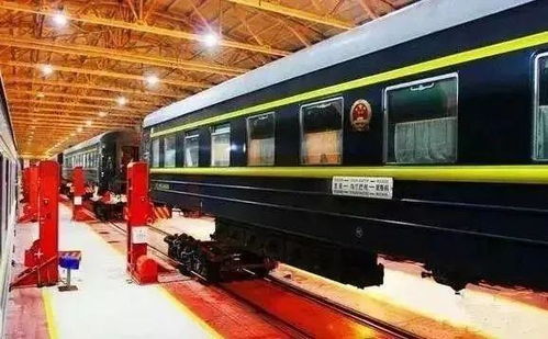 猫猫火车最新消息：全新列车线路即将开通，敬请期待！