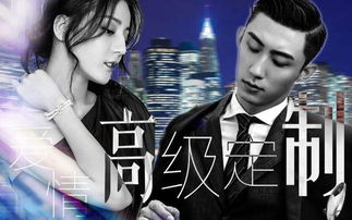 揭秘代号黑龙电视剧:剧情、演员、制作等详情揭秘 揭秘代号黑龙电视剧:剧情、演员、制作等详情揭秘