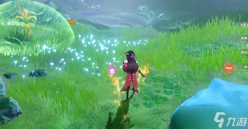 神奇水域宝可梦: 探索水中精灵的千姿百态及其在生态系统中的独特作用