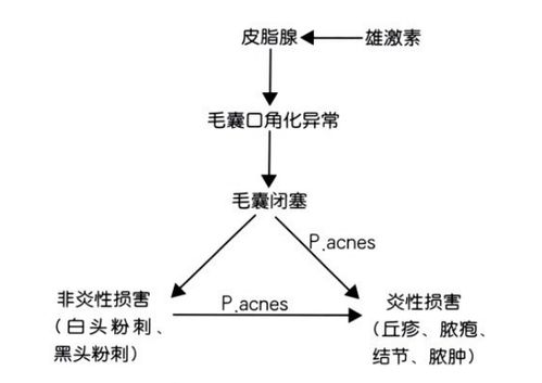 探索与比较死气之炎多元属性形态:在火力、稳定性和使用效果等要点上的系统化分析 探索与比较死气之炎多元属性形态:在火力、稳定性和使用效果等要点上的系统化分析