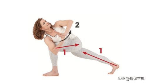 郑多燕核心骨盆健身舞:打造魅力身材与强健核心的完美结合课程 郑多燕核心骨盆健身舞:打造魅力身材与强健核心的完美结合课程