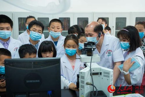 深度解析：以创新科技引领趋势，造物梦工厂安装融合实践操作步骤和互动体验