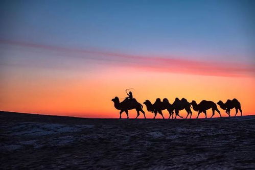 勇敢向前,不畏风雨,坚毅前行,勇攀高峰,勇拓新境,努力不停,决胜未来。 勇敢向前,不畏风雨,坚毅前行,勇攀高峰,勇拓新境,努力不停,决胜未来。