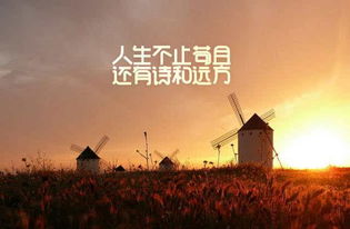 勇敢向前,不畏风雨,坚毅前行,勇攀高峰,勇拓新境,努力不停,决胜未来。 勇敢向前,不畏风雨,坚毅前行,勇攀高峰,勇拓新境,努力不停,决胜未来。