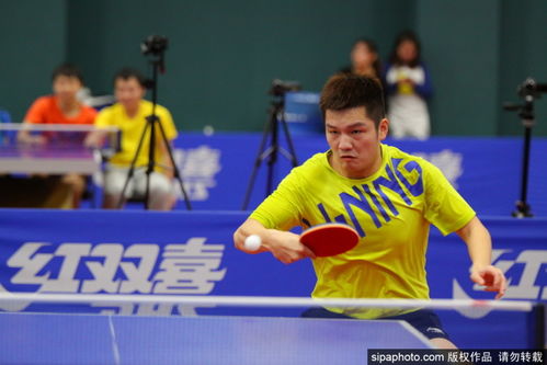 新澳一肖一马一恃一中下一期预测与新奥一肖一特预测分析l和杜绝虚假的假营销幻-启发释义、专家解读解释与落实​