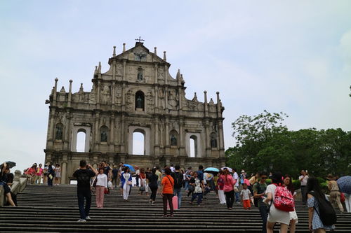 大三巴资料大全免费公开或大三巴精准资料免费大全功能介绍:41-07-49-22-44-19 T:06,明晰解答、解释与落实-规避欺诈的假广告