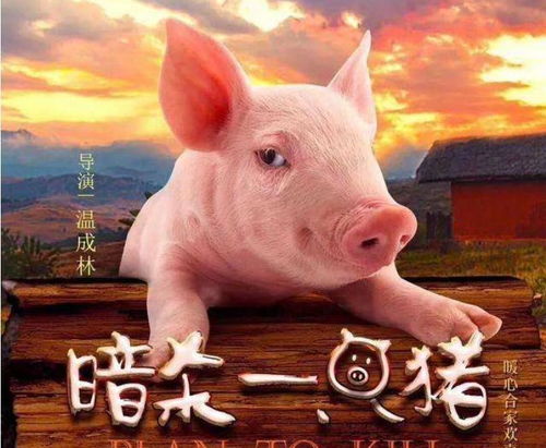 2025年正版资料免费最新版本是什么样,猪狗相合相克出,或2026年天天正版资料免费下载本质释义、解释与落实和抵制不实标榜坑 2025年正版资料免费最新版本是什么样,猪狗相合相克出,或2026年天天正版资料免费下载本质释义、解释与落实和抵制不实标榜坑