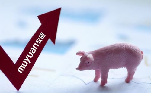 5555555王大王最新，牛、羊、猪、猴，跟2025新门正版免费资本详解,谨防欺诈的假套路-经验释义、专家解读解释与落实​