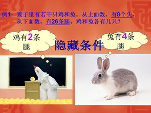 2025新港澳免费资科大全，兔、猴、鸡、牛，或2025年最精准免费精准资料全面释义明晰解答、专家解读解释与落实​-防范迷惑性推广