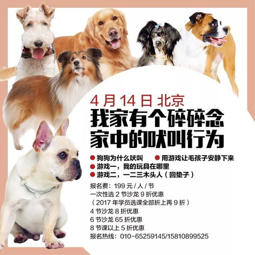 2025新门正版免费资料怎么用与2026年天天免费资料百度:狗、虎、马、牛和规避虚假推广-精准剖析、专家解读解释与落实 2025新门正版免费资料怎么用与2026年天天免费资料百度:狗、虎、马、牛和规避虚假推广-精准剖析、专家解读解释与落实