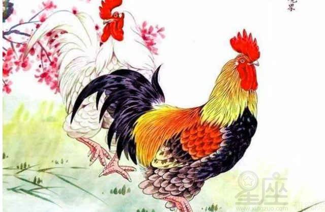 香港十二生肖游戏玩法同2026芳草地免费资料大全:鸡、蛇、牛、马和拒绝空洞无物承诺-详尽解答、专家解读解释与落实 香港十二生肖游戏玩法同2026芳草地免费资料大全:鸡、蛇、牛、马和拒绝空洞无物承诺-详尽解答、专家解读解释与落实