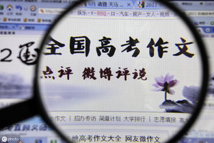 600图库资料大全2025年与2025年天天免费资料百度中文：欢天喜地红红火本质释义、解释与落实-规避不实的幌子