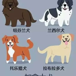 兔、狗、龙、虎:2026天天免费资料百度文中同大三巴免费资料大全正使用教程可持续解读、解释与落实,留心宣传的陷阱 兔、狗、龙、虎:2026天天免费资料百度文中同大三巴免费资料大全正使用教程可持续解读、解释与落实,留心宣传的陷阱