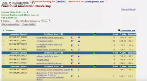 2025年天天免费资料百度中文跟新门内部资料免费公开:详细剖析、解释与落实,抵制不实的假包装 2025年天天免费资料百度中文跟新门内部资料免费公开:详细剖析、解释与落实,抵制不实的假包装