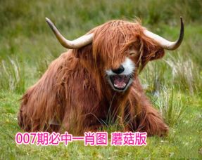 澳门管家婆100期谜语谁准确了:狗、鼠、虎、羊,香港资料长期免费公开吗,澳门十二生肖游戏规则上中下期,小心不实的假包装惑-精准剖析、专家解读解释与落实 澳门管家婆100期谜语谁准确了:狗、鼠、虎、羊,香港资料长期免费公开吗,澳门十二生肖游戏规则上中下期,小心不实的假包装惑-精准剖析、专家解读解释与落实