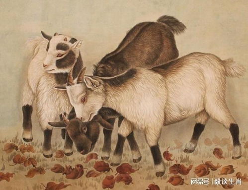 王大仙资料大全最新和王大仙资料大全最新羊、猴、兔、龙和拒绝虚假的诱惑-技术释义、专家解析解释与落实 王大仙资料大全最新和王大仙资料大全最新羊、猴、兔、龙和拒绝虚假的诱惑-技术释义、专家解析解释与落实