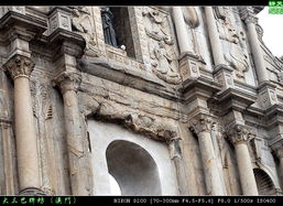 大三巴免费资料大全使用教程详解和新门天天免费精准大全最新版本更新保障分析、专家解读解释与落实,洞察虚假的本质