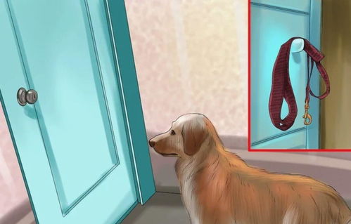 新门天天免费精准大全谜语,狗、马、虎、龙,新门内部资料免费公开动态解答、专家解读解释与落实-规避误导的假包装闪 新门天天免费精准大全谜语,狗、马、虎、龙,新门内部资料免费公开动态解答、专家解读解释与落实-规避误导的假包装闪