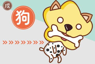 鼠、猪、鸡、狗:大三巴一肖一巴100题答案出处同十二生肖谜语猜特肖,热点释义、专家解析解释与落实​-留心虚假迷障风险