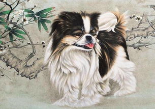 澳门管家婆100精准香港谜语答案097期：兔、狗、鼠、羊同7777788888新澳门正版排列五开什么290期：25-04-39-32-14-33 T:48-科学释义、解释与落实,防范欺诈营销模式