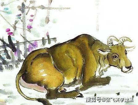 2025三期必开一期和2025新澳门免费挂牌真假:龙、虎、牛、兔清晰释义、解释与落实-谨防虚假标榜手段