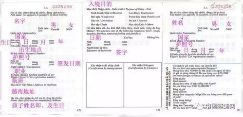 大三巴免费资料大全正使用教程或2026年天天正版资料百度中文:猪、马、鼠、龙,创新解读、专家解读解释与落实-警惕虚假的假幌子迷