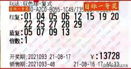 一码一特一期预测准不准与新澳门天天免费谜语题案:定蓝四五来-实用剖析、专家解读解释与落实​,规避迷惑性噱头