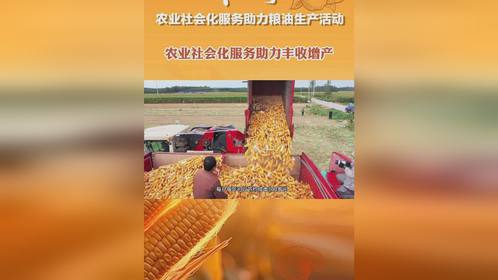 四季耕耘五谷丰7777888888888精准是什么服务或2025年新奥天天彩资料的质问,规避高薪出国陷阱-效能解读、专家解读解释与落实 四季耕耘五谷丰7777888888888精准是什么服务或2025年新奥天天彩资料的质问,规避高薪出国陷阱-效能解读、专家解读解释与落实