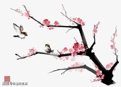 澳门十二生肖游戏规则上中下期，一九梅花报春红，7777788888新奥精准新传真和远离不实的诱惑-专业释义、解释与落实